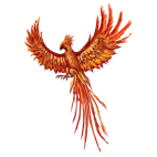 E.R. Phoenix